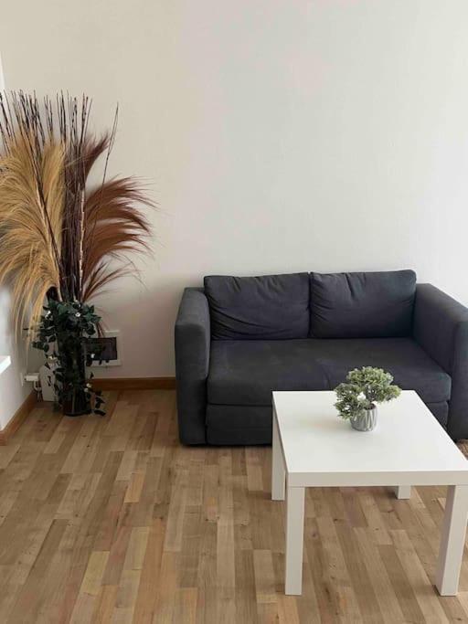 Appartamento Belgielei 94 Anversa Esterno foto
